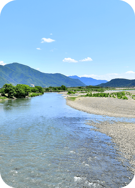 長野県千曲市の川辺の画像