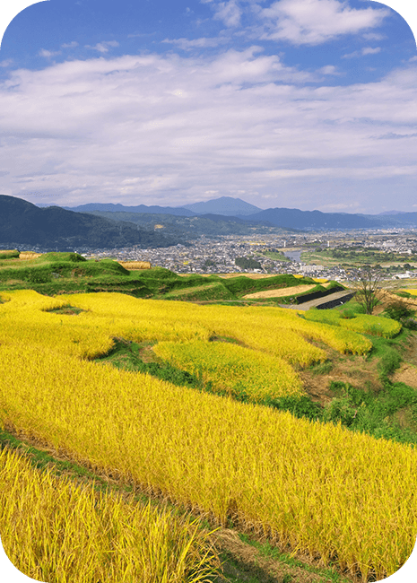 長野県千曲市の稲畑